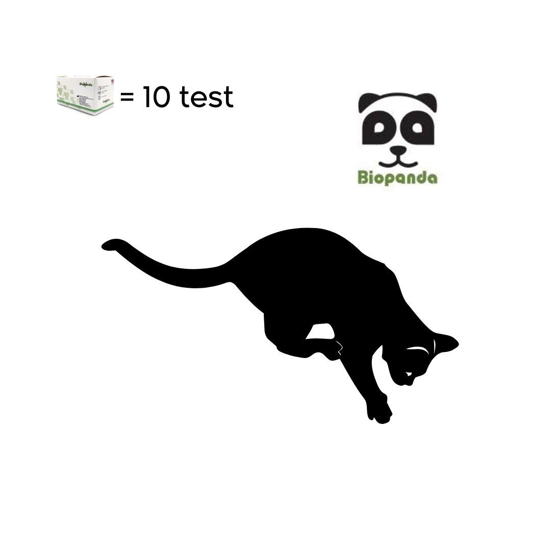 CORONAVIRUS + GIARDIA + PARVOVIRUS  FELINO